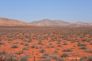 Nahe der Grenze zu Namibia